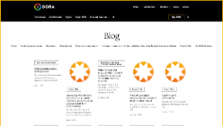 Screenshot of DORA blog.