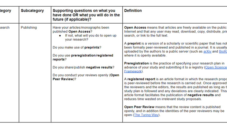 Table about publishing with main question, "Supporting questions on what you have done OR what you will do in the future (if applicable)?"