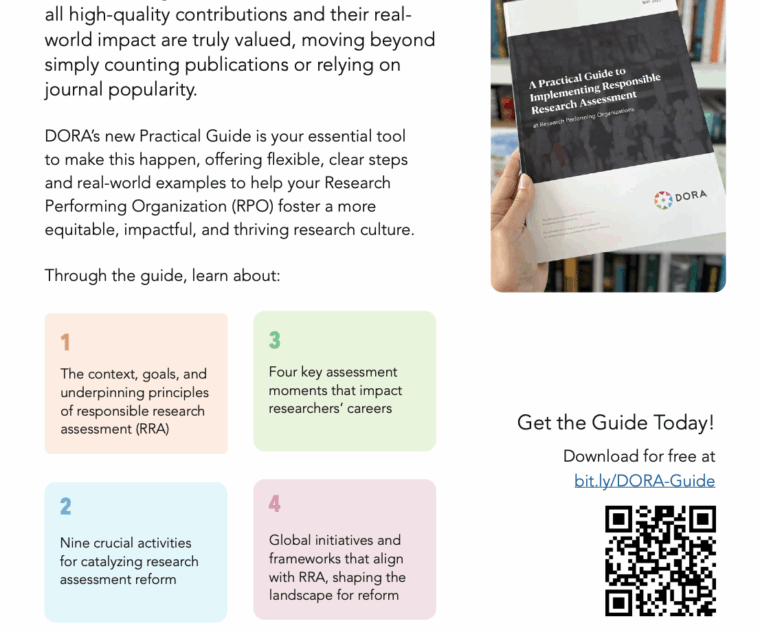 Image showing the one-pager that is an introduction to the Practical Guide.